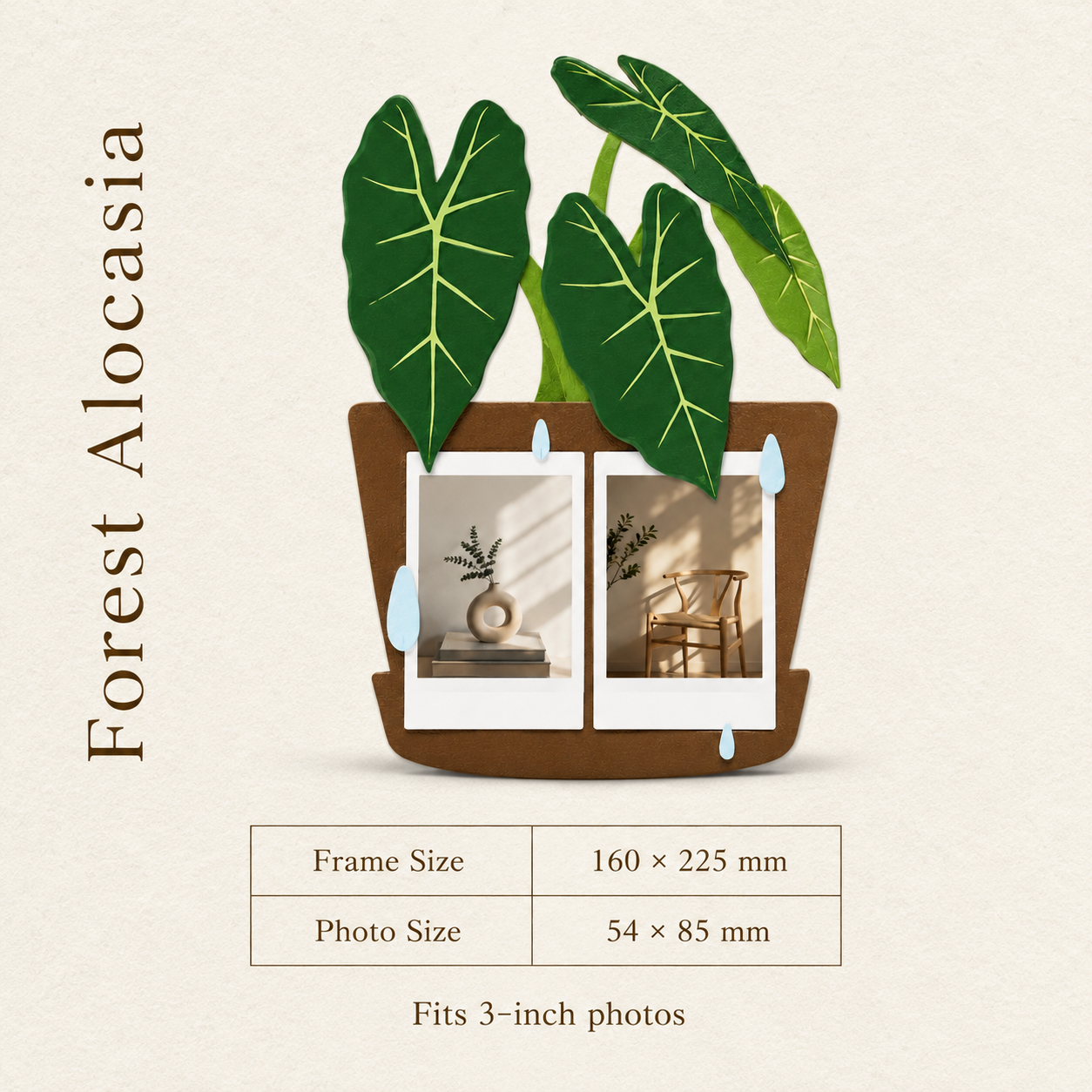 A Botanical Frame for Everyday Memories