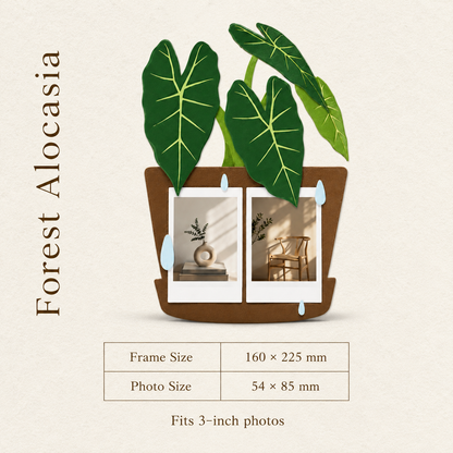 A Botanical Frame for Everyday Memories