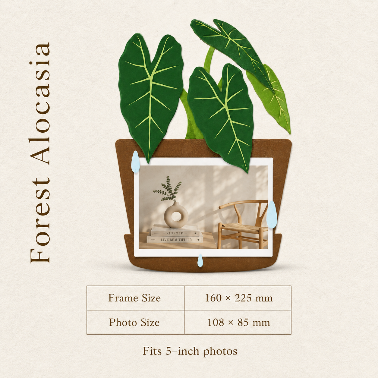 A Botanical Frame for Everyday Memories