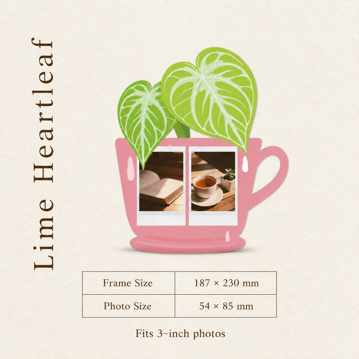 A Botanical Frame for Everyday Memories