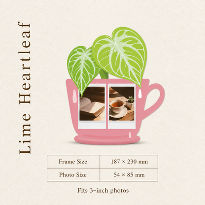 A Botanical Frame for Everyday Memories